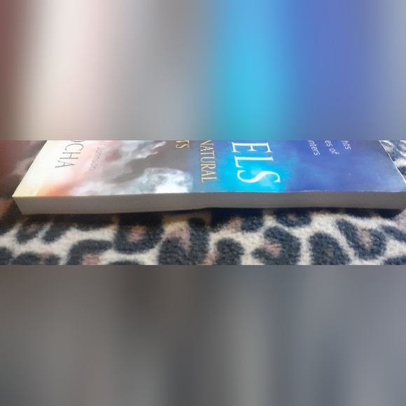 Angels-God's Supernatural Agents:Biblical Insights and True Stories By Ed Rocha - Picture 3 of 3